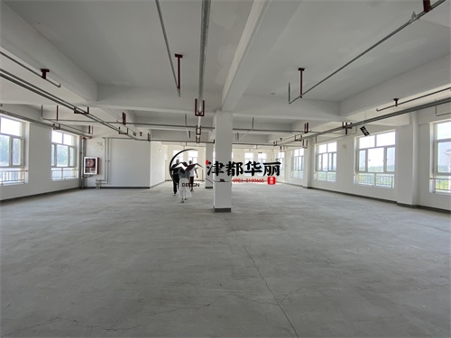 石嘴山台球厅装修设计项目|津都华丽设计